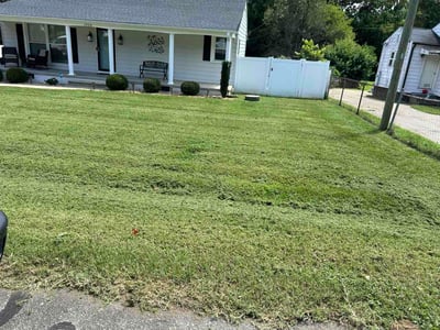 Lawn care service in Burlington, 27215