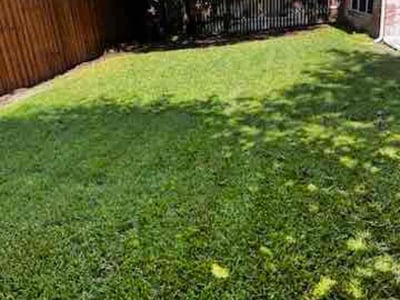 Lawn care service in McKinney, 75071