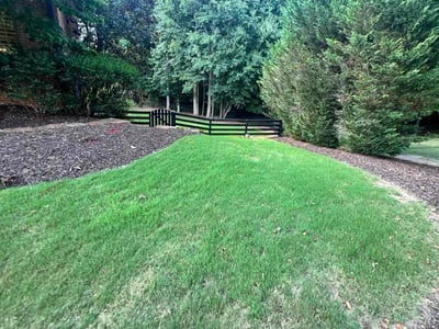 Lawn care service in Alpharetta, 30004