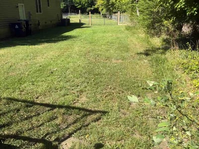 Lawn care service in Williamsburg, 23185