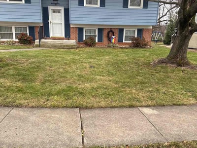 Lawn care service in Catonsville, 21228