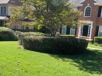 Lawn care service in Woodstock, 30189