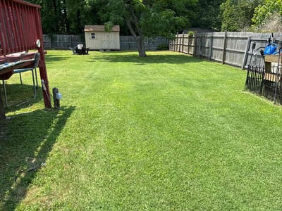 Lawn care service in Portsmouth, 23703