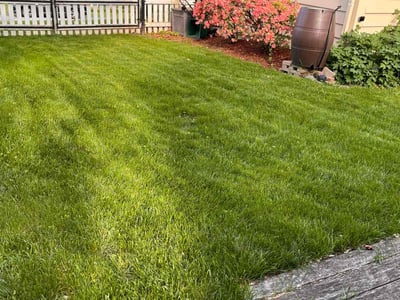 Lawn care service in Millbury, 01527