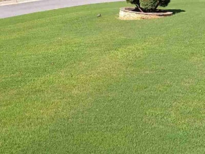 Lawn care service in Johns Creek, 30022
