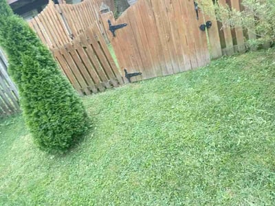 Lawn care service in Rosedale, 21237