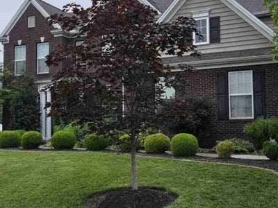 Lawn care service in Mechanicsburg, 17050