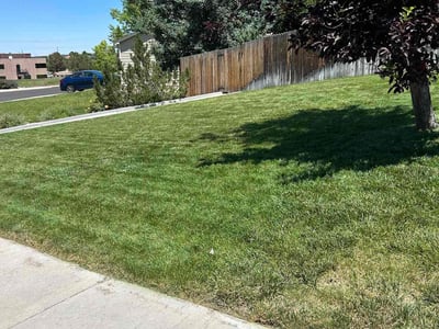 Lawn care service in Parker, 80134