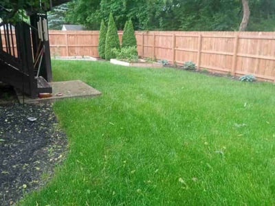 Lawn care service in Columbus, 43204