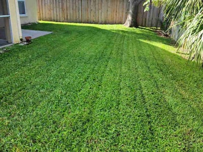 Lawn care service in Tarpon Springs, 34689