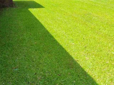 Lawn care service in Milton, 32570