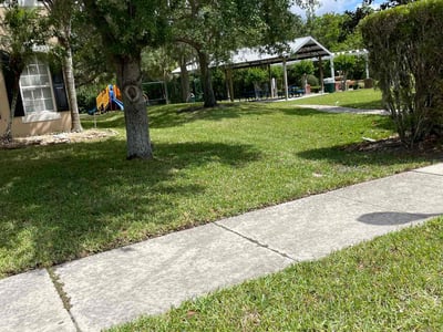 Lawn care service in Winter Garden, 34787