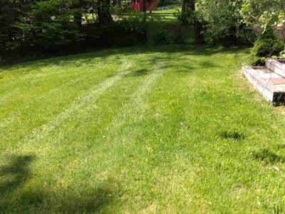 Lawn care service in Southwick, 01077
