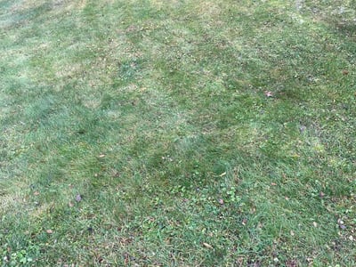 Lawn care service in Bethel Park, 15102