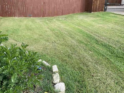 Lawn care service in Haslet, 76052