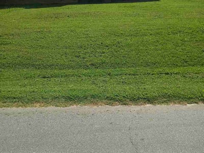 Lawn care service in Hickory, 28602