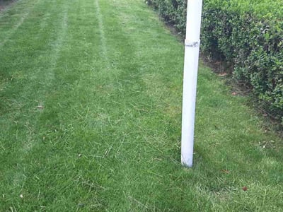 Lawn care service in Worcester, 01604
