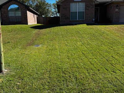 Lawn care service in Shreveport, 71118