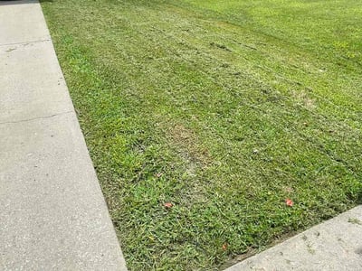 Lawn care service in Fayetteville, 72704