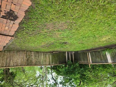 Lawn care service in Grand Rapids, 49503
