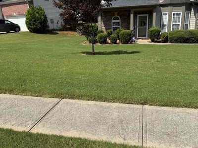 Lawn care service in Newnan, 30265