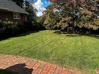 Lawn care service in Falls Church, 22042