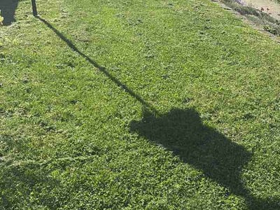 Lawn care service in Cedar Rapids, 52404