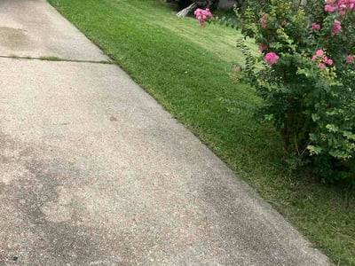 Lawn care service in New Orleans, 70129