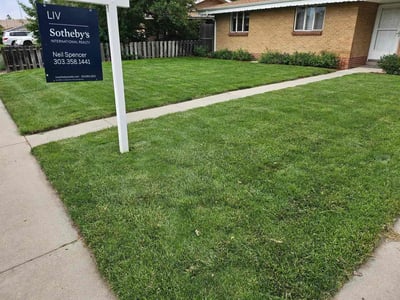 Lawn care service in Wheat Ridge, 80033
