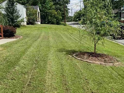 Lawn care service in Belmont, 28012