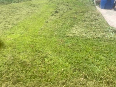 Lawn care service in Richmond, 77469