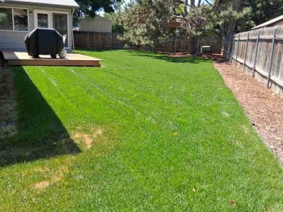 Lawn care service in Boise, 83706