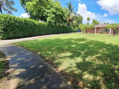 Lawn care service in Plantation, 33317