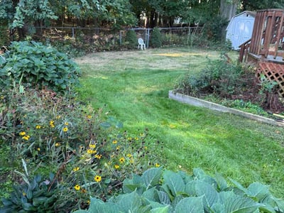 Lawn care service in Willoughby, 44094