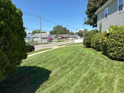 Lawn care service in Hempstead, 11550