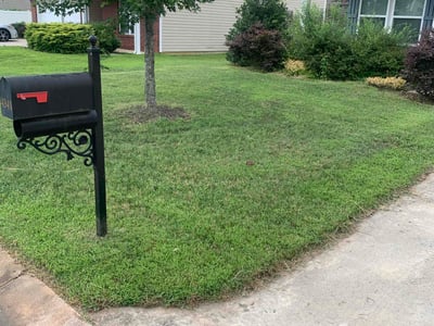 Lawn care service in Pfafftown, 27040
