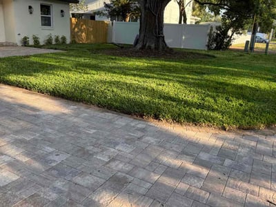 Lawn care service in Tampa, 33629