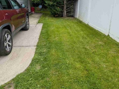 Lawn care service in Massapequa, 11758