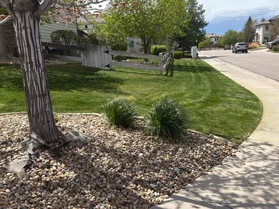 Lawn care service in Lone Tree, 80124