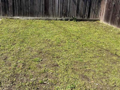 Lawn care service in Los Angeles, 90043