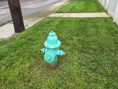 Lawn care service in Indianapolis, 46218