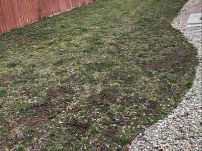 Lawn care service in Salt Lake City, 84115