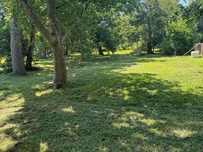 Lawn care service in Groves, 77619