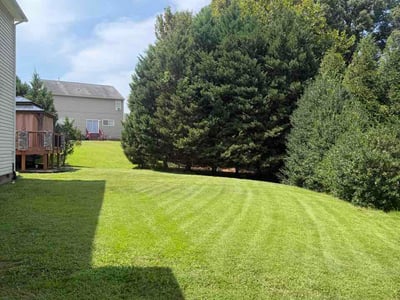 Lawn care service in Wake Forest, 27587