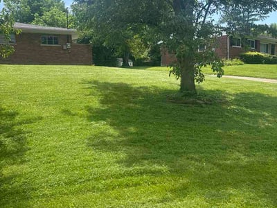 Lawn care service in Cincinnati, 45231