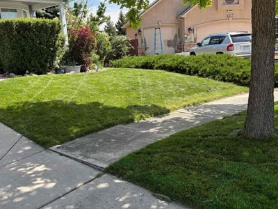 Lawn care service in Colorado Springs, 80922