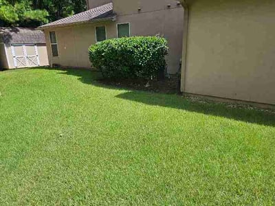 Lawn care service in Jacksonville, 32218