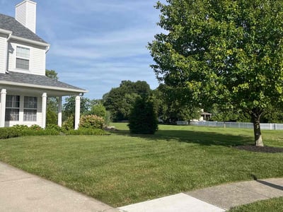 Lawn care service in Noblesville, 46062