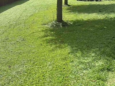 Lawn care service in Missouri City, 77459