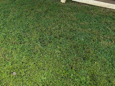 Lawn care service in Woodbridge, 22192